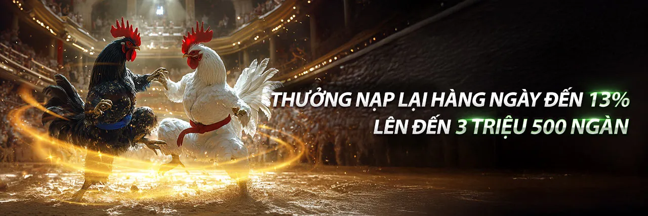 Đá Gà Trực Tuyến nk888