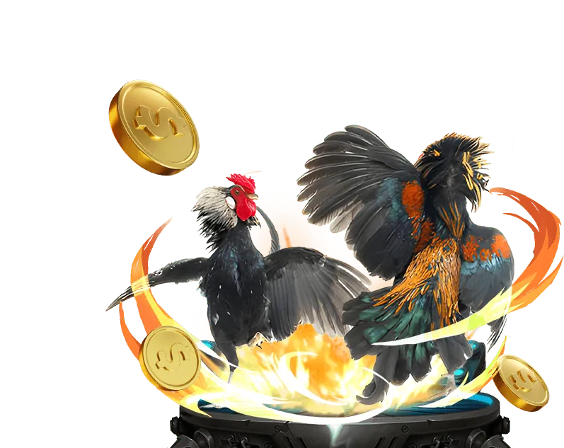 Đá Gà Trực Tuyến nohu98